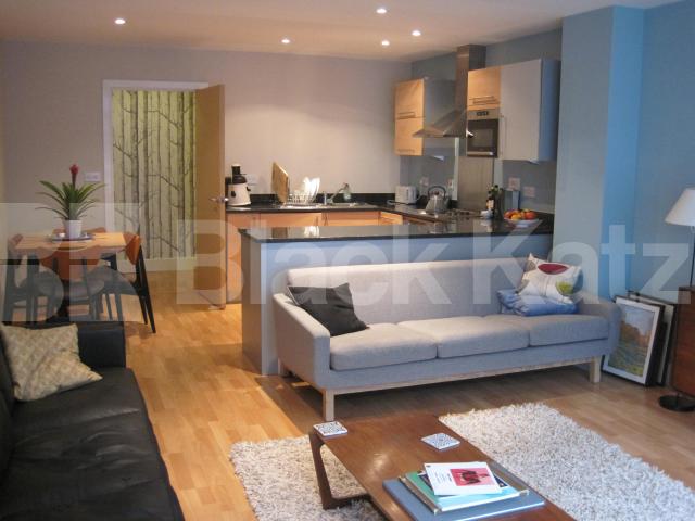 			NEW INSTRUCTION, 3 Bedroom, 1 bath, 1 reception Apartment			  Long Lane , London Bridge